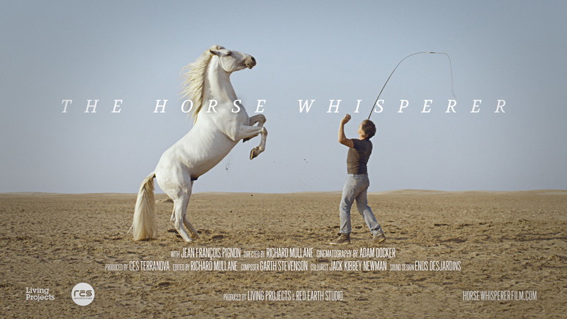 Poster for The Horse Whisperer, a 2016 Documentary short film, directed by Richard Mullane, on The Short Film Show