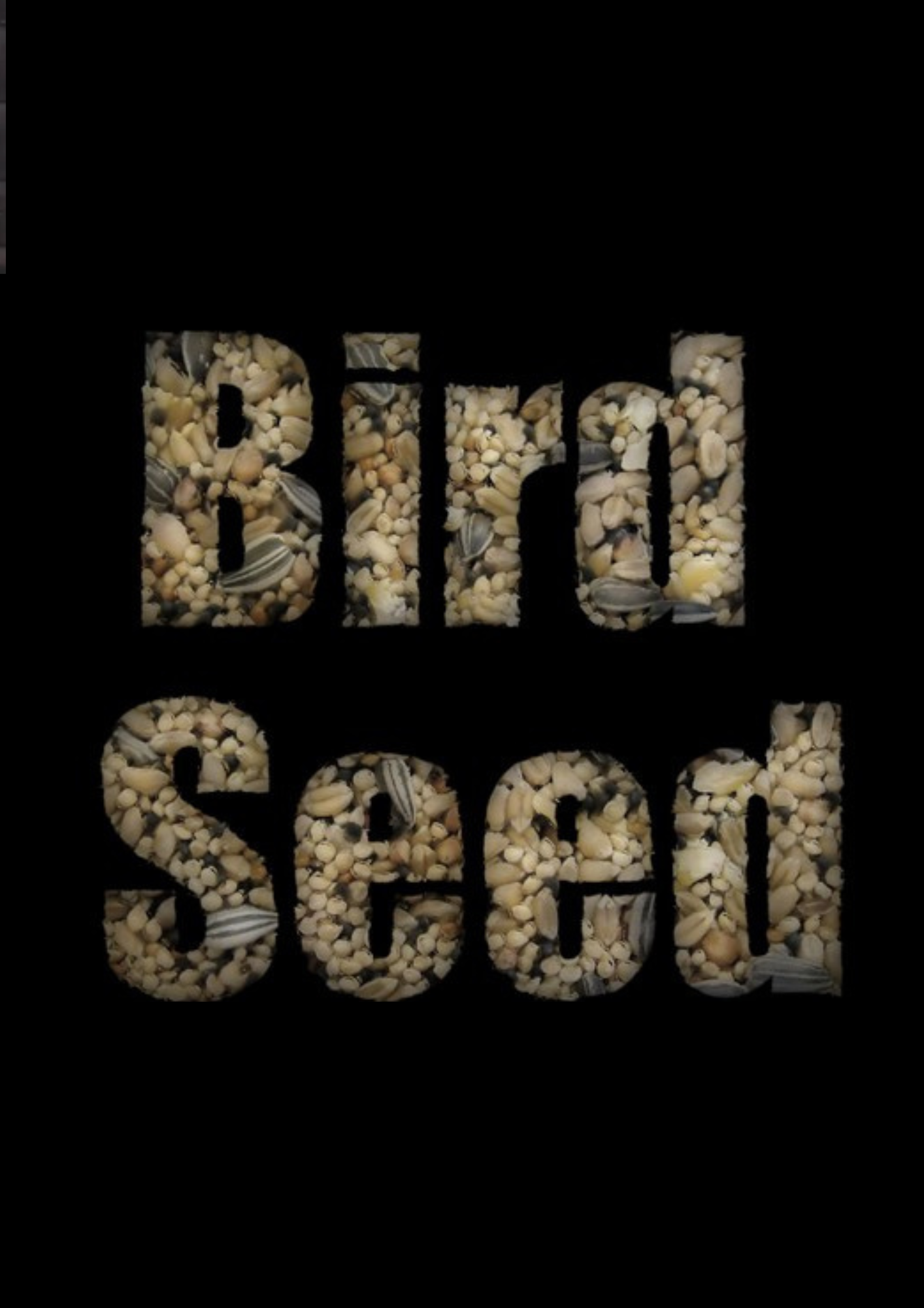 Poster for Bird Seed, a 2017 Comedy short film, directed by Peter Mottram, on The Short Film Show