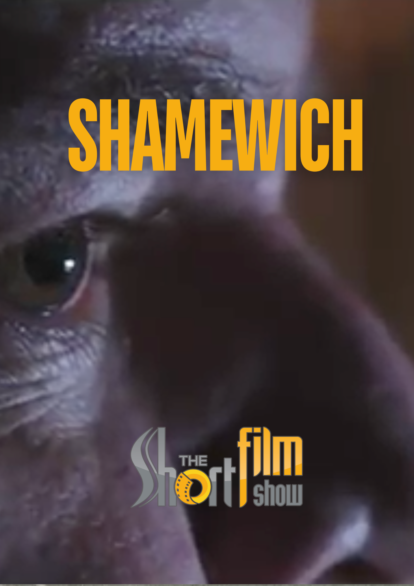 Poster for Shamewich, a Comedy short film, directed by Daniel Montanarini, on The Short Film Show