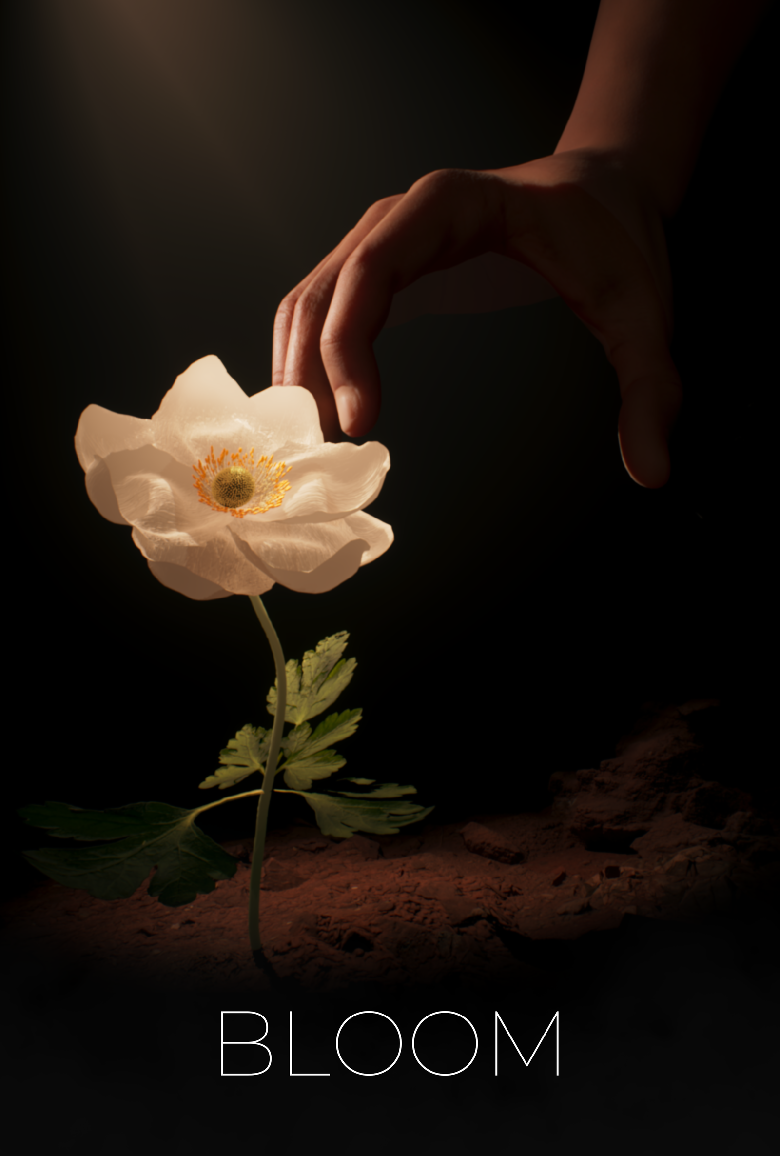 Poster for Bloom, a 2025 Animation short film, directed by Conan Gionovan, on The Short Film Show