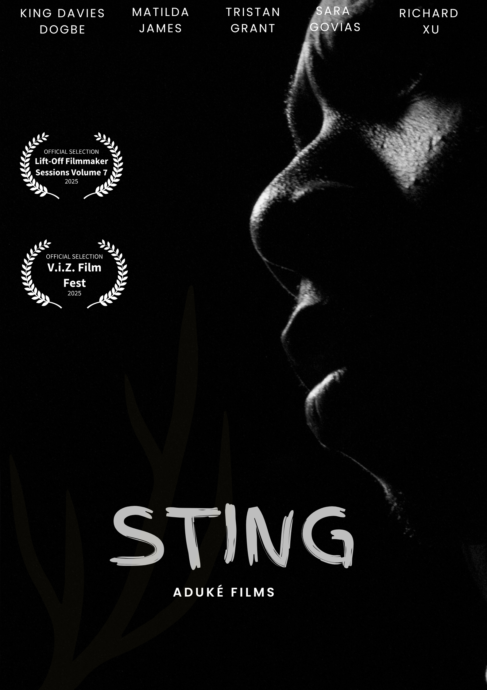 Poster for STING, a 2024 Crime short film, directed by Zubayr Zubayr, on The Short Film Show