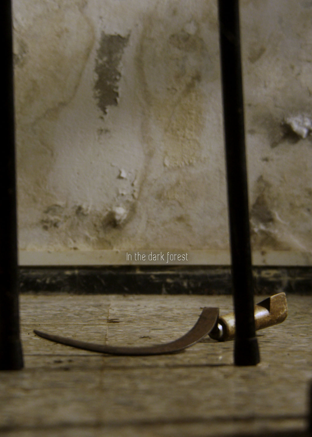 Poster for In the dark forest, a 2024 Thriller short film, directed by Pol Camarero Just, on The Short Film Show